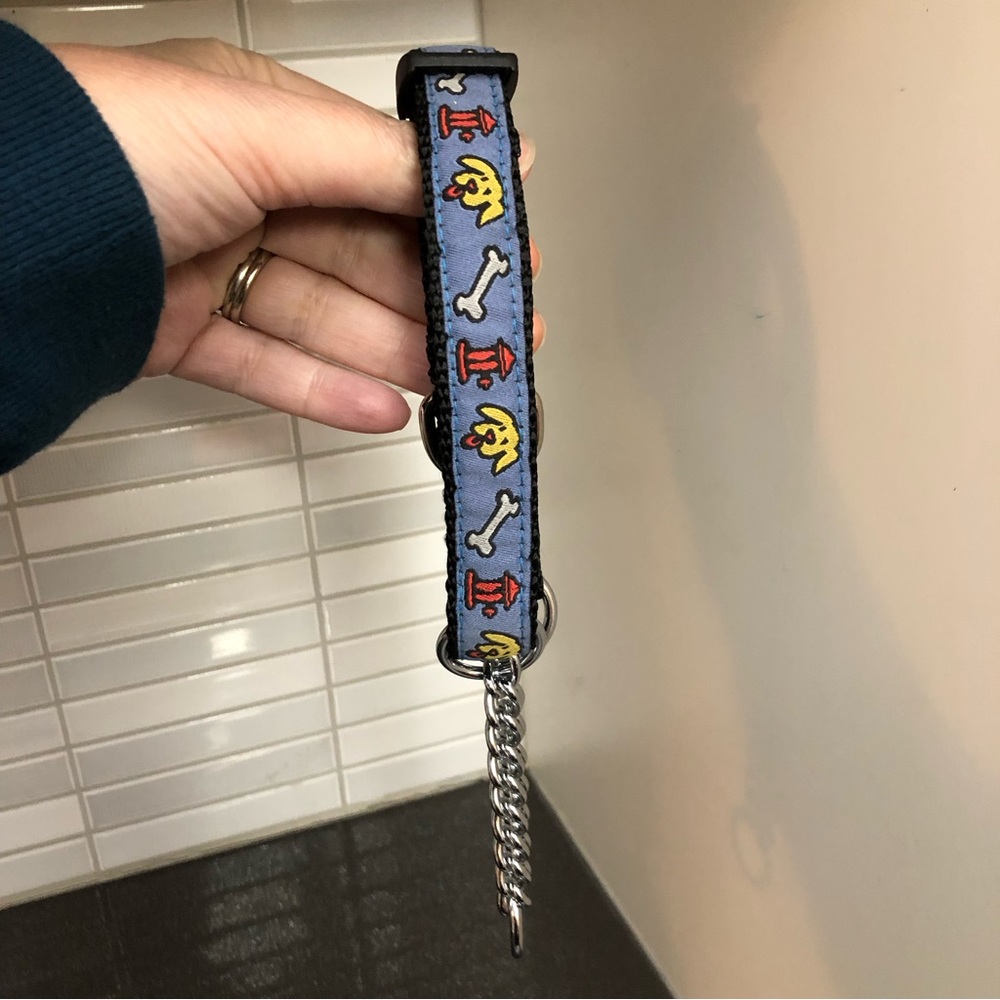 😎RC Pets Martingale Dog Collar